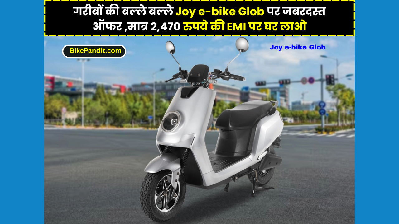 Joy e-bike Glob